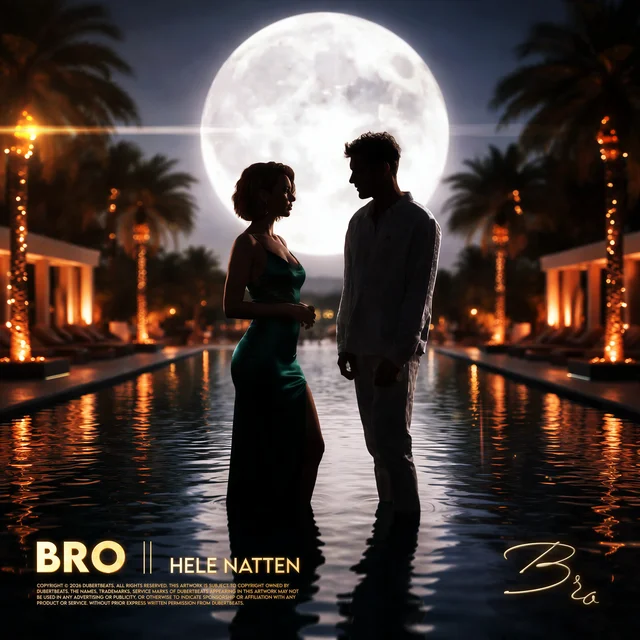 BRO – Hele Natten artwork